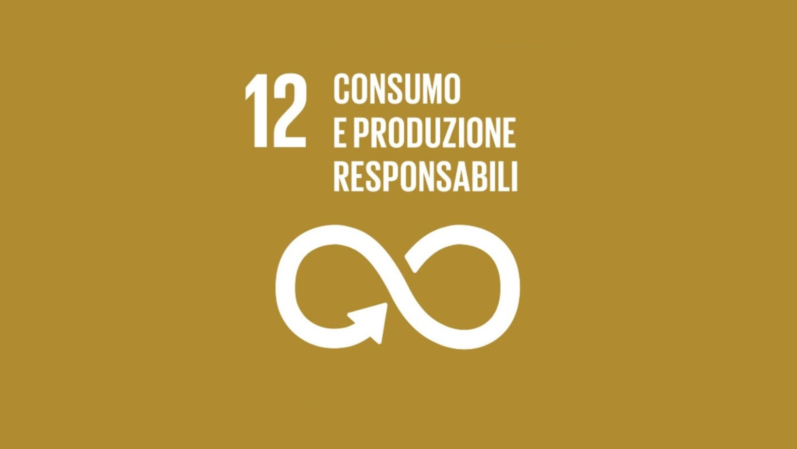 Obiettivo 12: Consumo e produzione responsabili