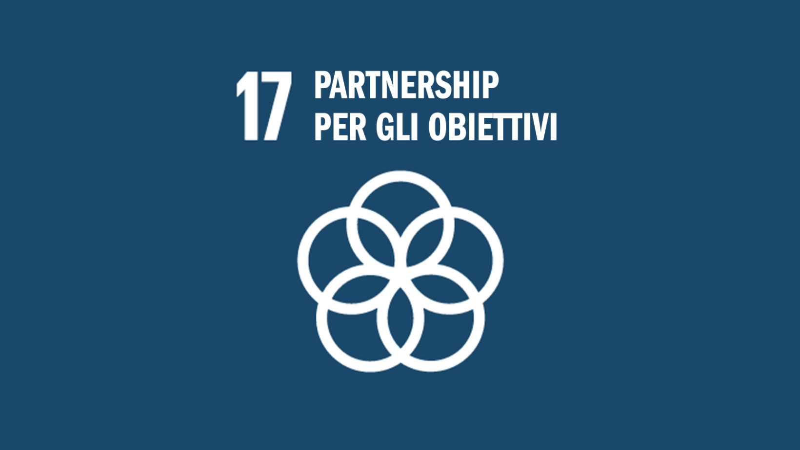 Obiettivo 17: Partnership per gli obiettivi